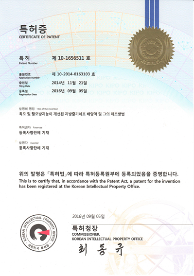 모발 성장 촉진 및 탈모 예방 특허증